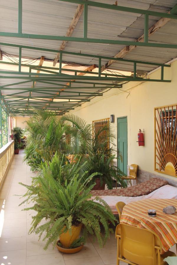 Busy Bee Apartments Kololi Exterior photo